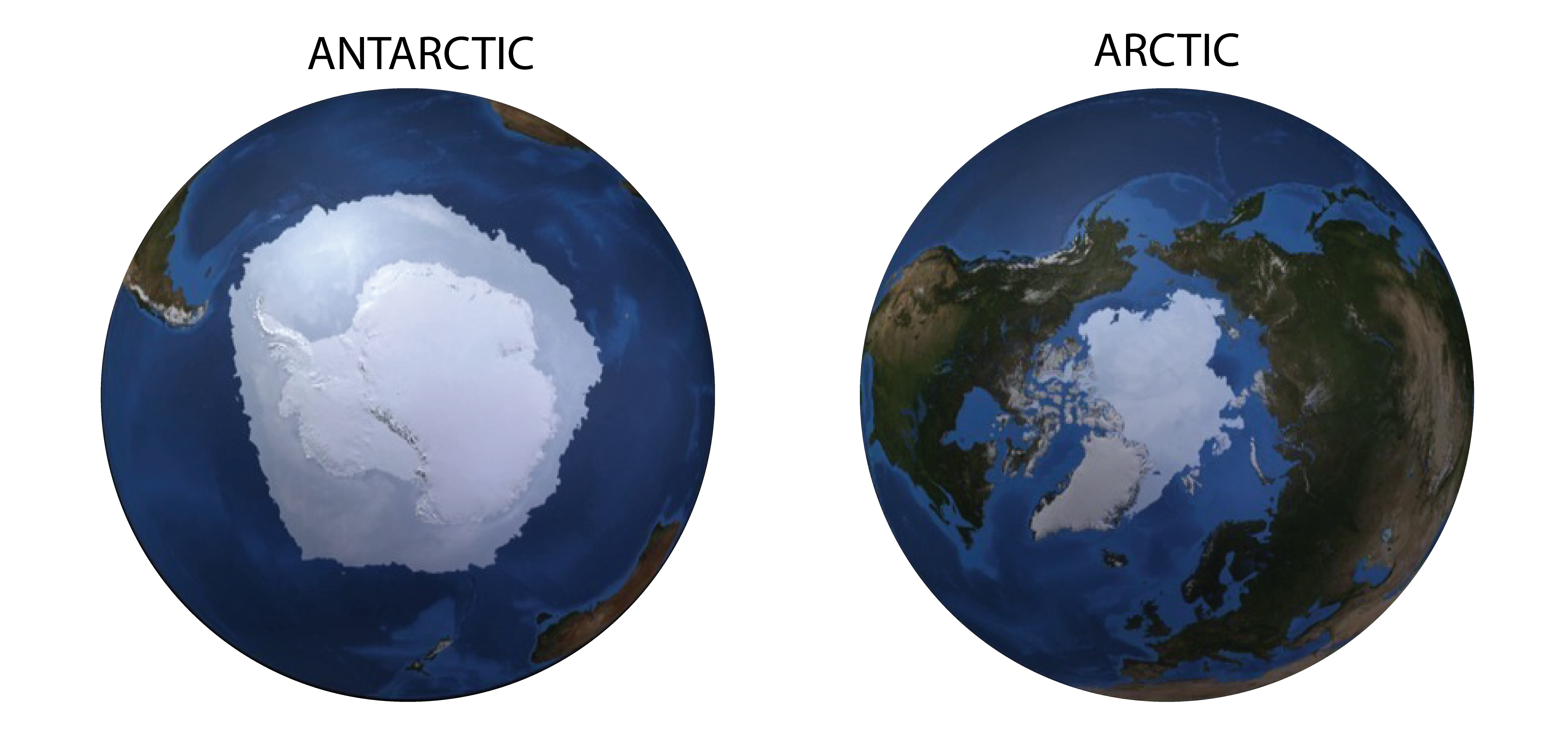 POLES